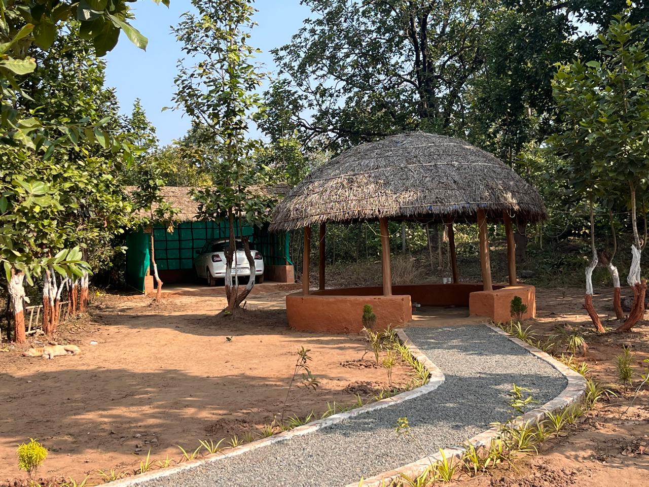 Luxury resort pool with palm trees at sunset